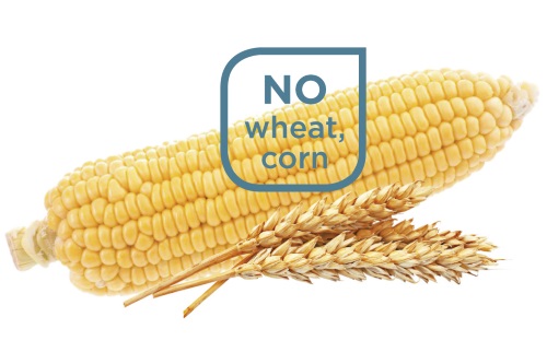 No wheat, no corn